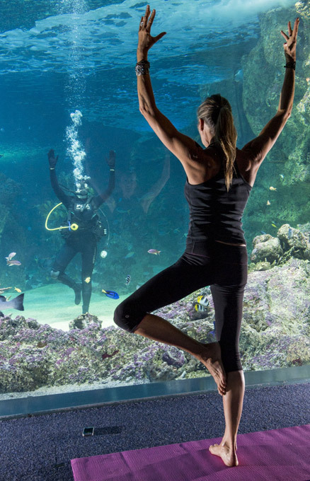 Каждый сходит с ума по-своему: но все в восторге