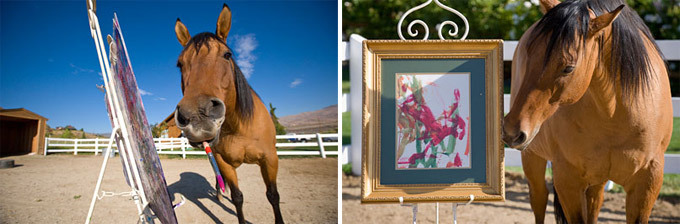 Животные, которые взорвали интернет