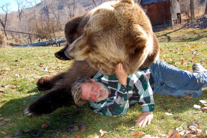 Как сделать другом... медведя