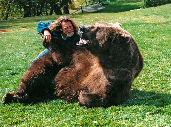 Как сделать другом... медведя