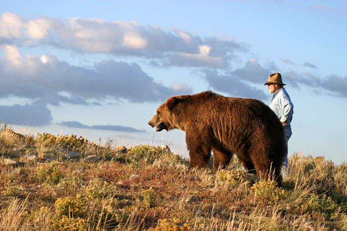 Как сделать другом... медведя