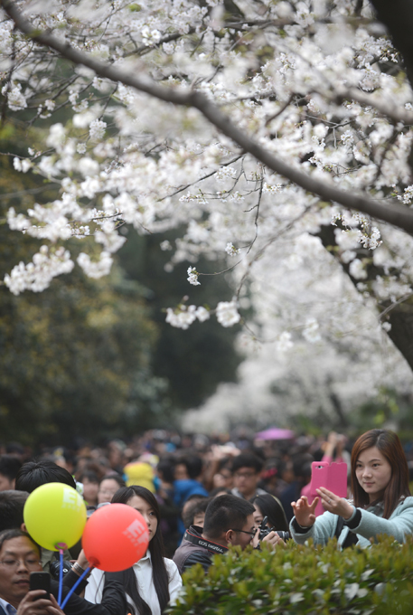 Путешествовать одному – это здорово!