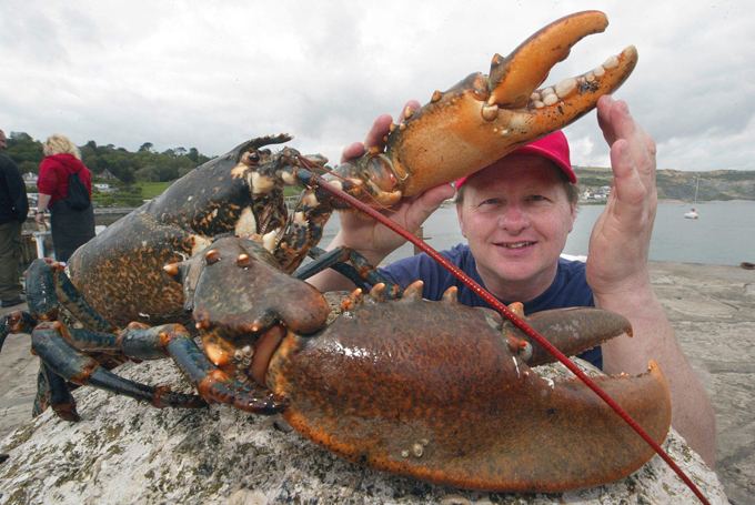 Вечная жизнь существует?