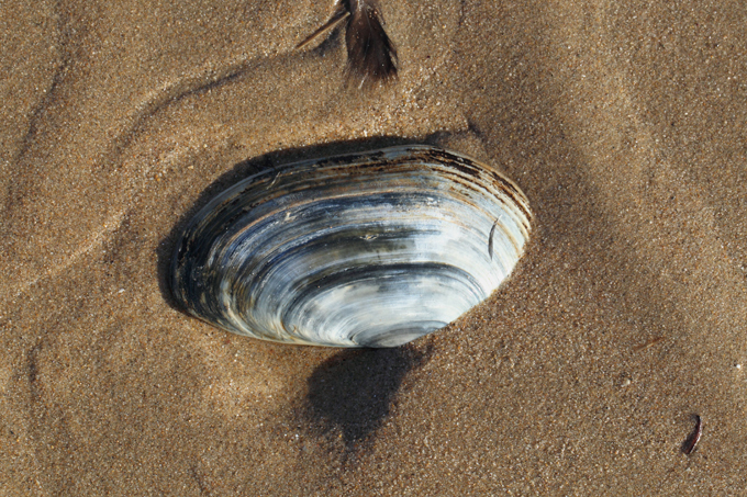 Вечная жизнь существует?