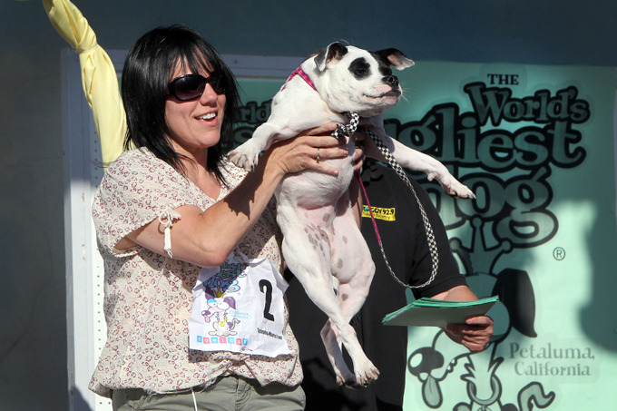 Самая уродливая собака в мире