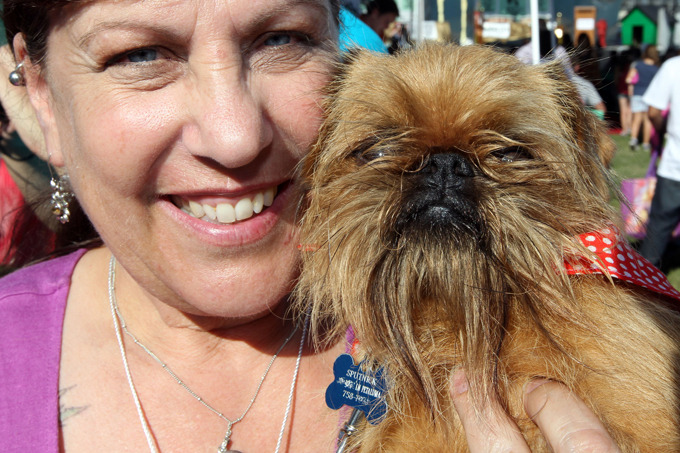 Самая уродливая собака в мире