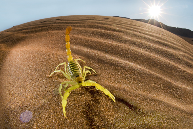 Таинственные места планеты: Поющий бархан