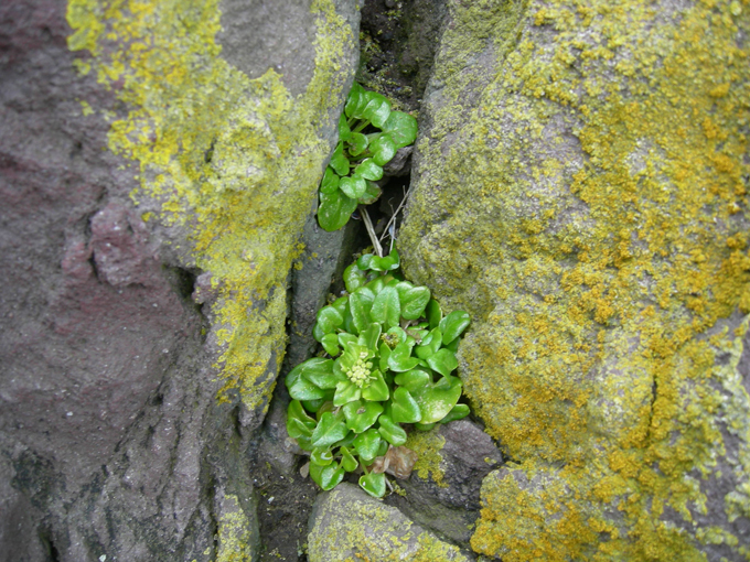 Страна застывшей лавы