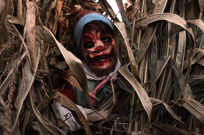 Хэллоуин. Лучшее время для гадания