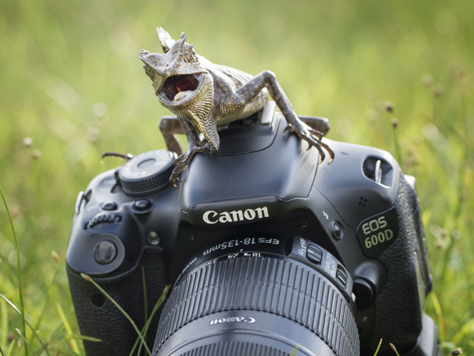 Улыбочку! Вас снимают профессионалы