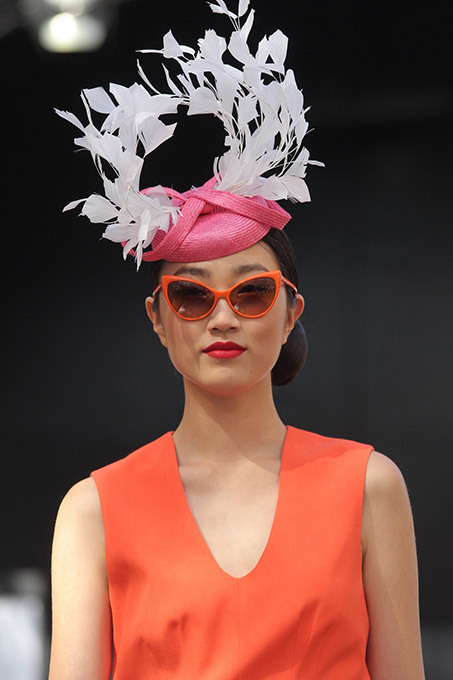 Австралийские скачки David Jones