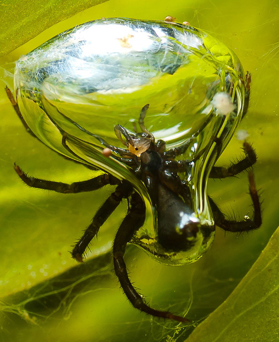 Подводный работяга