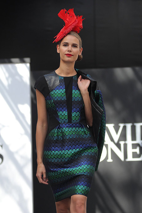 Австралийские скачки David Jones