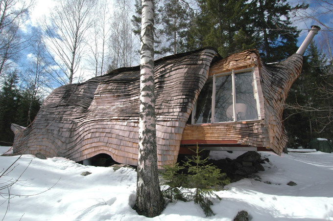 Необычное рядом. Людям есть, чему поучиться и у улиток