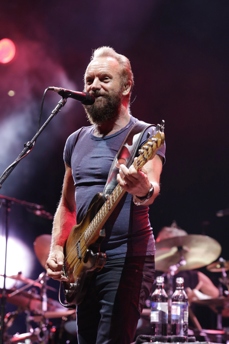 Кумиры против наркотиков - пчелы против меда