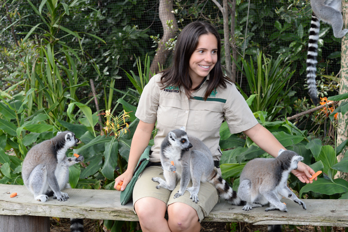 Зоопарки мира: Очень необычные