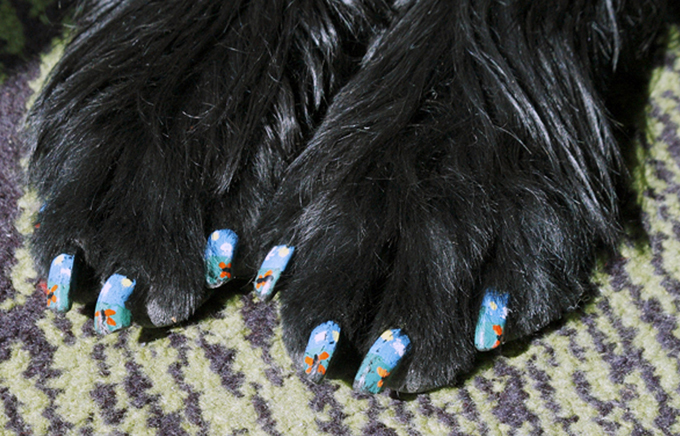 Одержимые "петикюром"