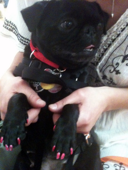 Одержимые "петикюром"