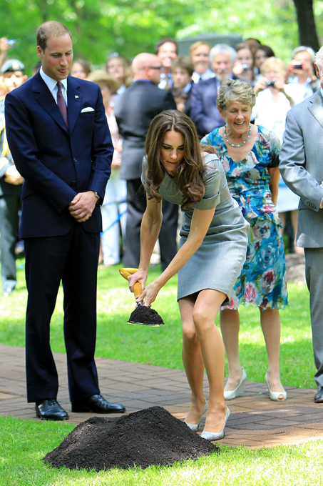 Британскому принцу Уильяму исполняется 30