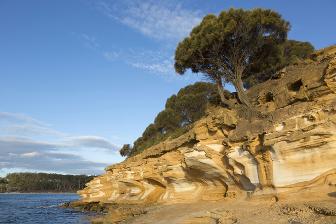 Куда бежать от городской суеты? Дикая природа Австралии