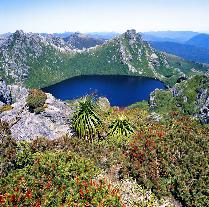 Куда бежать от городской суеты? Дикая природа Австралии