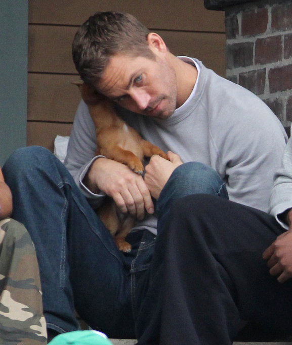 Их убили автомобили