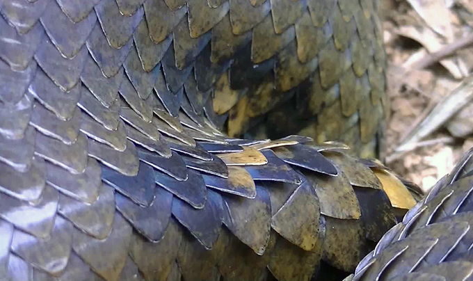 Как в фильме ужасов