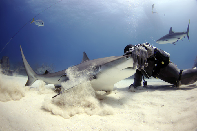 Заклинатель морских людоедов
