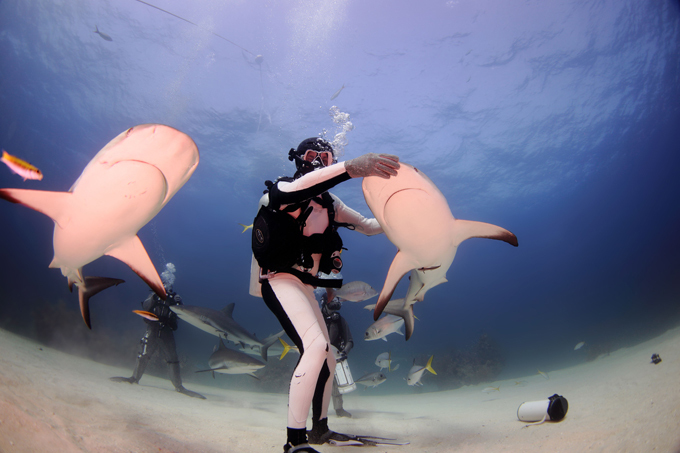 Заклинатель морских людоедов