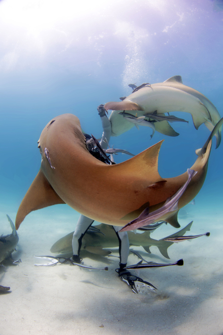 Заклинатель морских людоедов