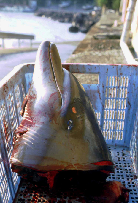 Загадочная страна восходящего солнца