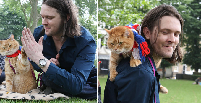 Кот - герой целой книги. Истории из жизни кошек