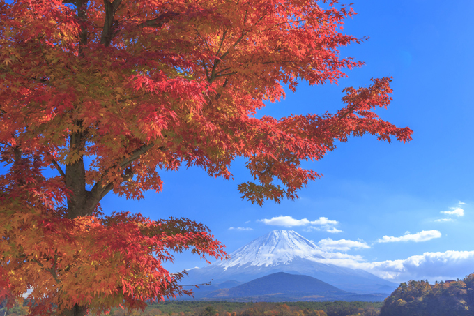 Осень — она и в Африке осень