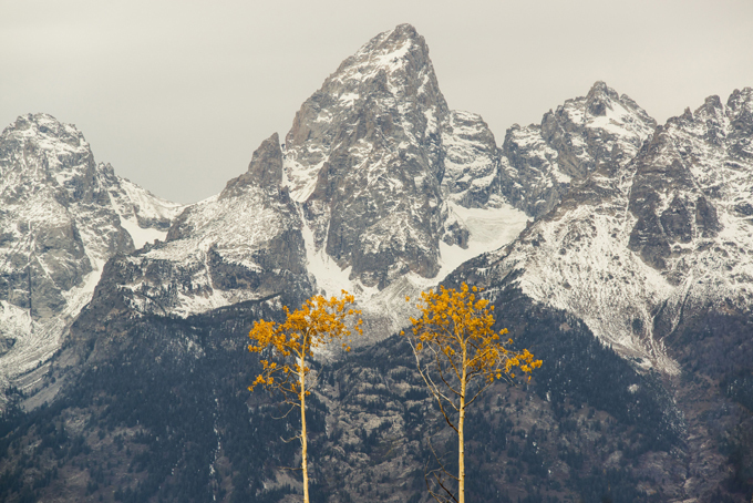 Осень — она и в Африке осень