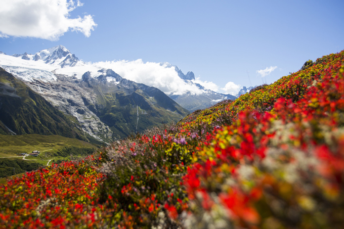 Осень — она и в Африке осень