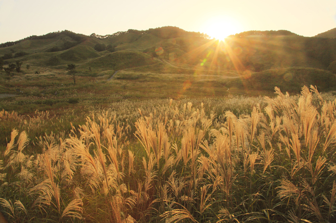 Осень — она и в Африке осень