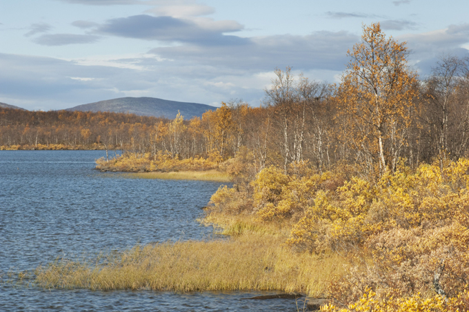 Осень — она и в Африке осень