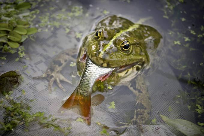 Мелочи жизни крупным планом