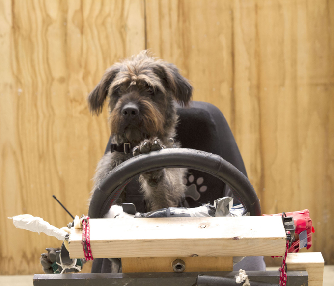 Дави на газ!