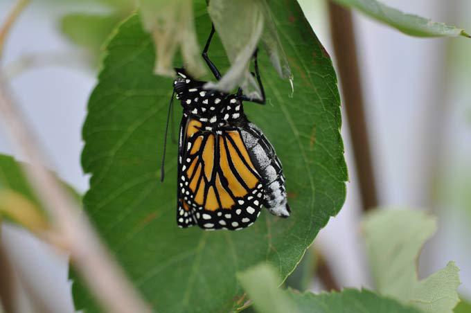 Мелочи жизни крупным планом