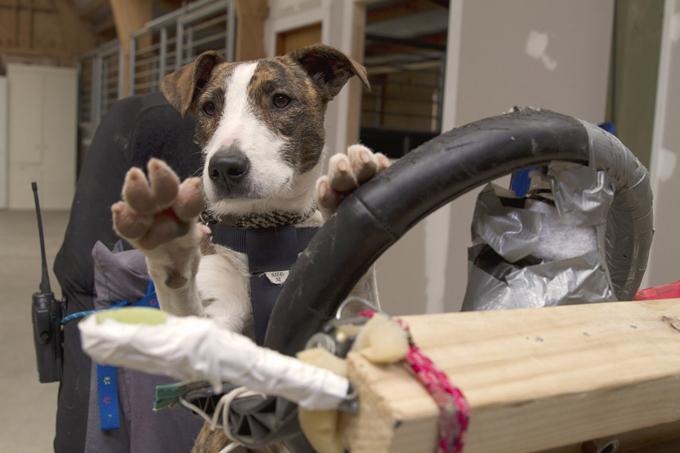 Дави на газ!