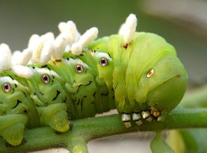 Мелочи жизни крупным планом