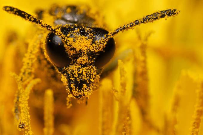 Мелочи жизни крупным планом