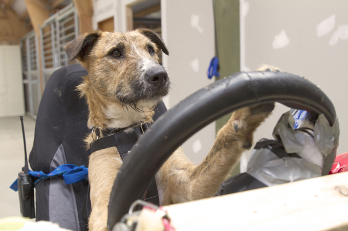 Дави на газ!