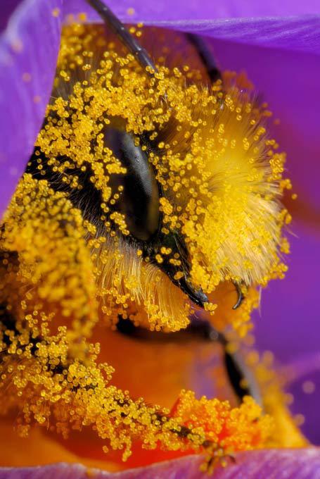 Мелочи жизни крупным планом