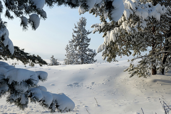 Пейзажи России