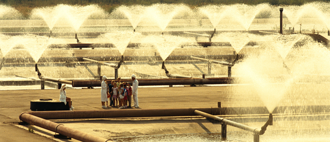 "Атомное" кино