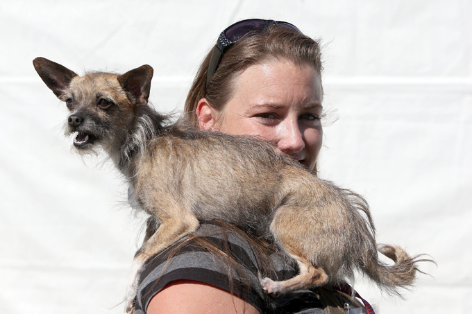 Конкурс на самую уродливую собаку