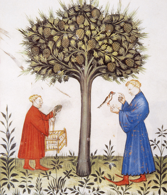 Атрибуты богатства из глубокого прошлого