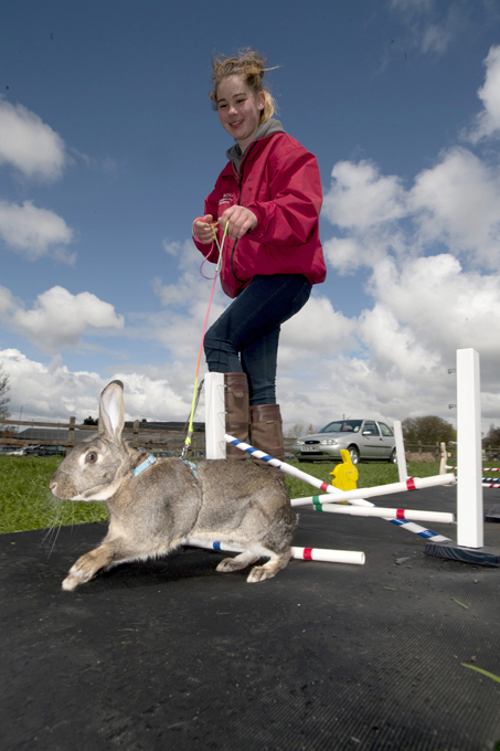 Заячьи бега